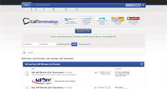 Desktop Screenshot of calltermination.com